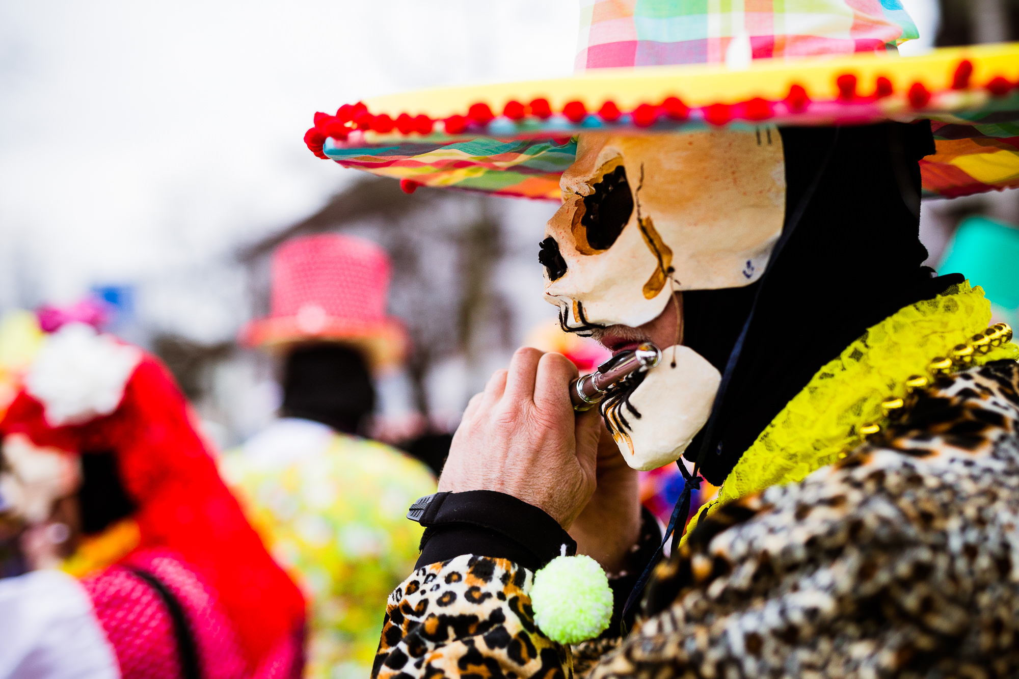 Export x3 1DX 7185 Basler Fasnacht 2016